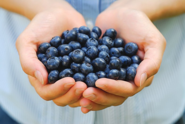 blueberries-in-