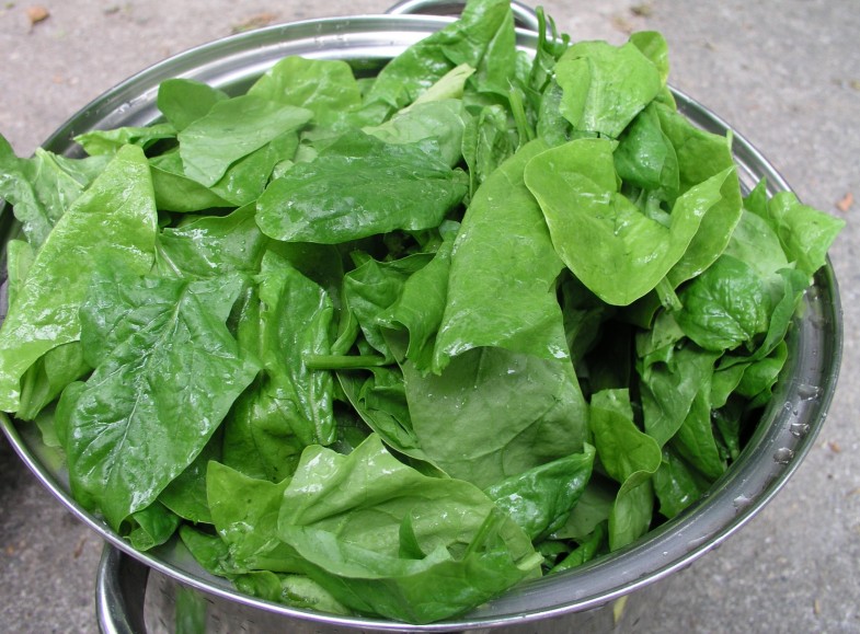 Spinach_leaves