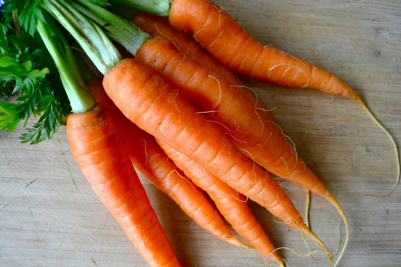 carrots-bunch