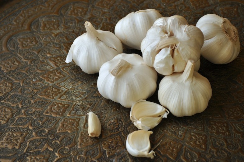garlic2