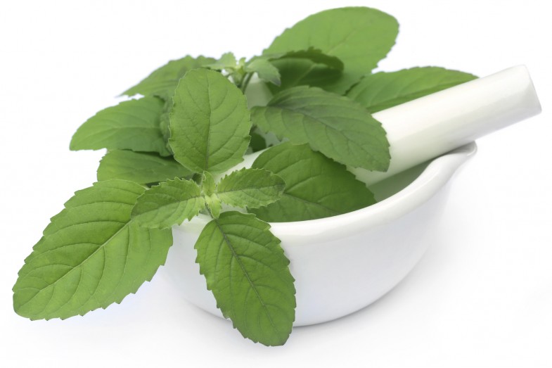 Medicinal holy basil or tulsi leaves on a mortar with pestle
