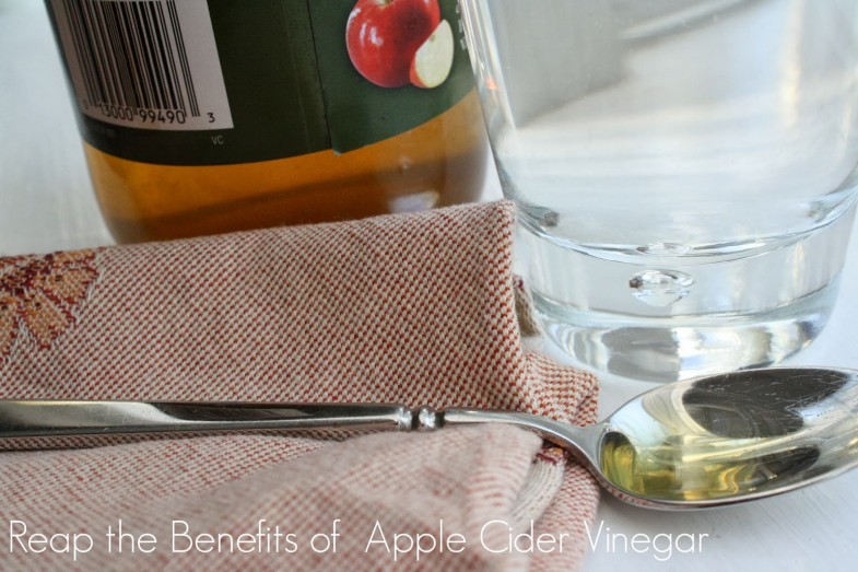 Benefits+of+Apple+Cider+Vinegar+NaturalProbiotic+shop+cbias