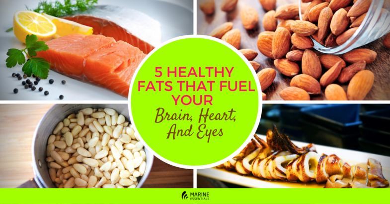 5 Healthy Fats That Fuel Your Brain, Heart, And Eyes (1)