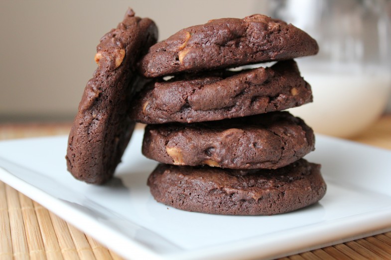 Chocolate-Peanut-Butter-Cookies_11281
